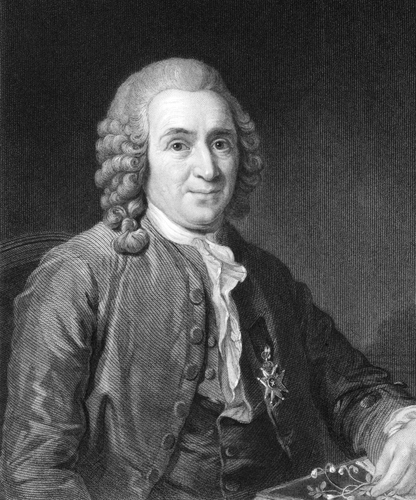 Carl Linnaeus